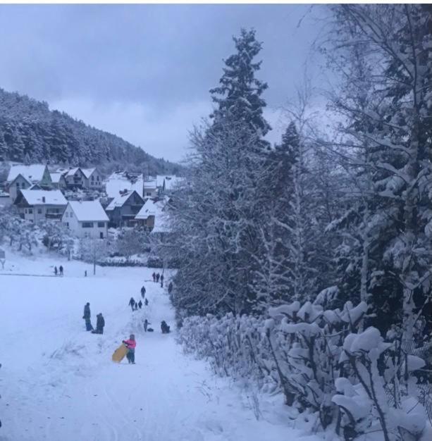 Ferienwohnung Am Tor Zum Thueringer Wald Plaue  Exterior foto